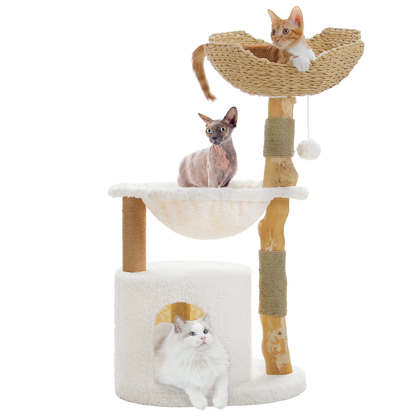 Modern Cat Tree with Natural Wood – Luxury Cat Tower with Wicker Basket, Spacious Condo & Deep Hammock