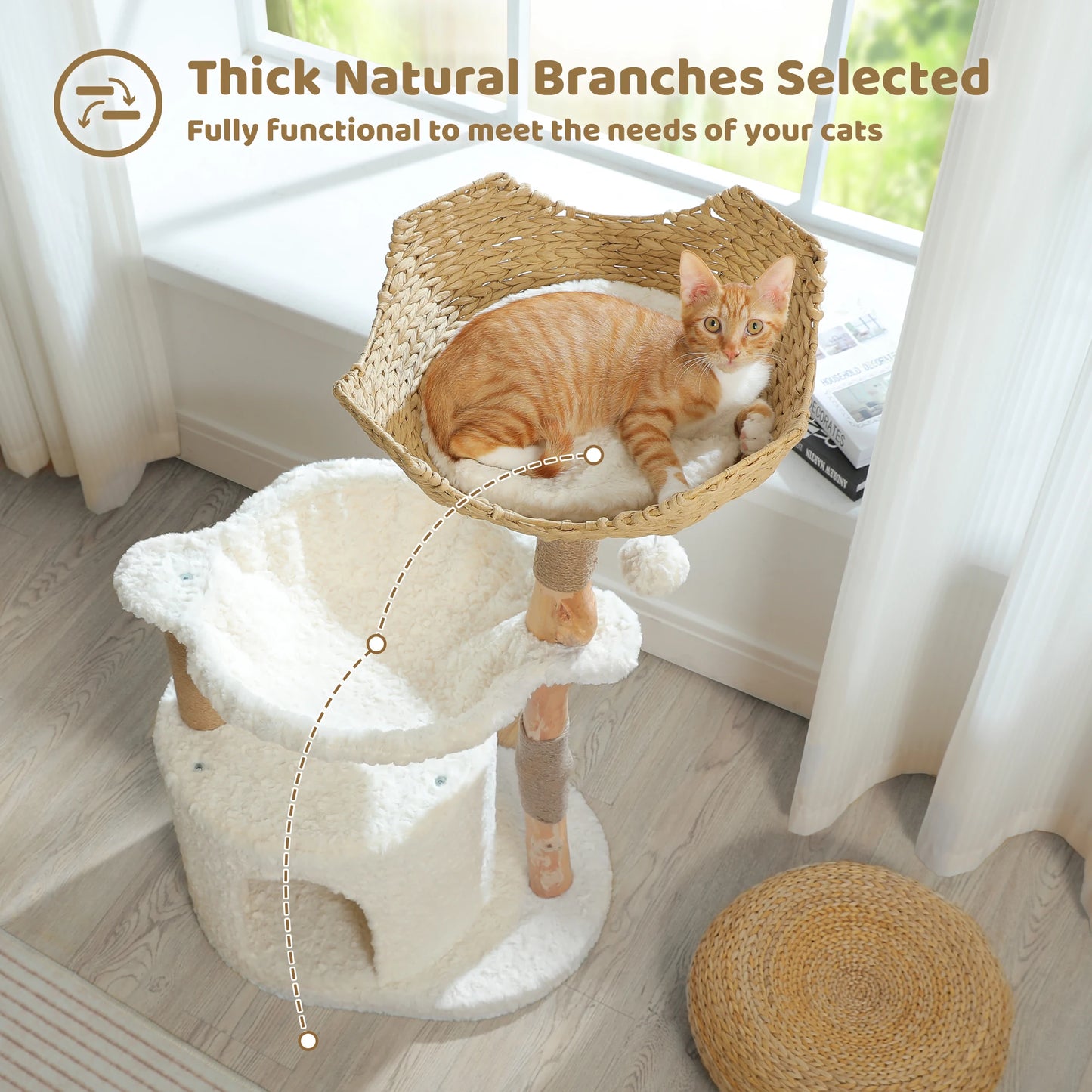 Modern Cat Tree with Natural Wood – Luxury Cat Tower with Wicker Basket, Spacious Condo & Deep Hammock